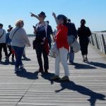 Look he jumped! No, just a seagull