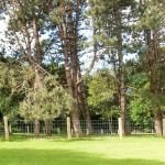 Les Pins de Cesar free range chicken pens