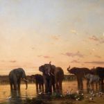 Elephants on the Savannah