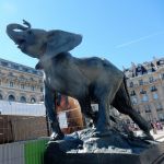 African velt on the steps of the M'O