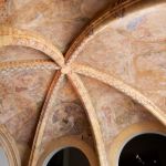 Like the underbelly of an octopus