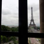 Looking out the back window