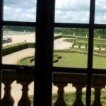 A peek out the back window