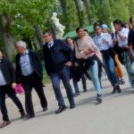 Doing things by committee