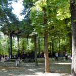 Full orchestra in the gazebo