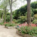 Musee de Cluny garden