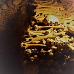 Looks like the Tyler house after Thanksgiving