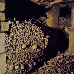 OK, who made the mess?