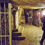 Holding back the tidal wave of bones