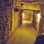 I wonder if the bones make good walls for houses?