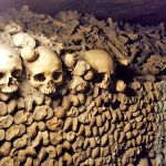 Look Ma, no cavities. No teeth.