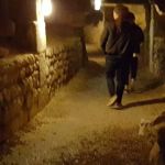 Enter at your own risk