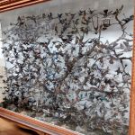 Case of hummingbirds