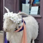 Everyone needs one of these