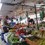 Whatever you are looking for is here