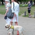 A good time was had by all