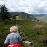 Like doing the cat walk