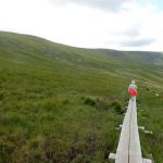 Boardwalk across the bog