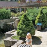 Arleigh checking out the park