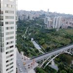 Bridge across the park