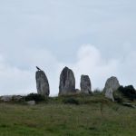 Eightercua Stone Row