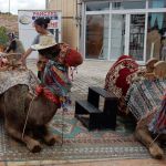 Now, how do you get on?