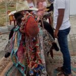 I'd rather have ice cream