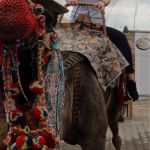 Death grips and smiles