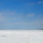 Nothing here but foolish tourists