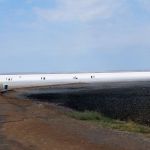 The Plains of Carcinoma