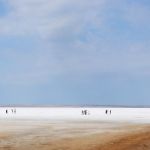 This goes on for miles