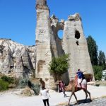 Fat toadie tourist. So, says the camel